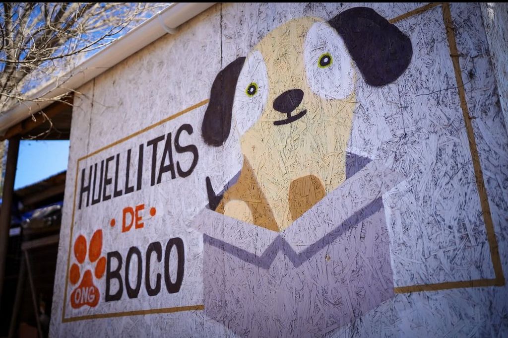 WhatsApp Image 2024-11-29 at 10 WhatsApp Image 2024-11-29 at 10