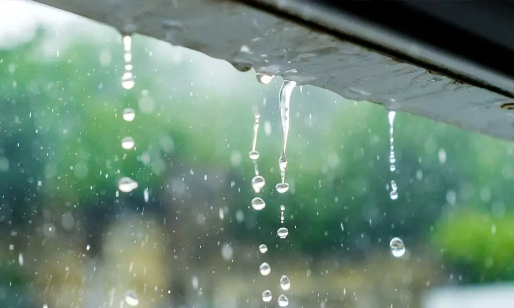 lluvia lluvia