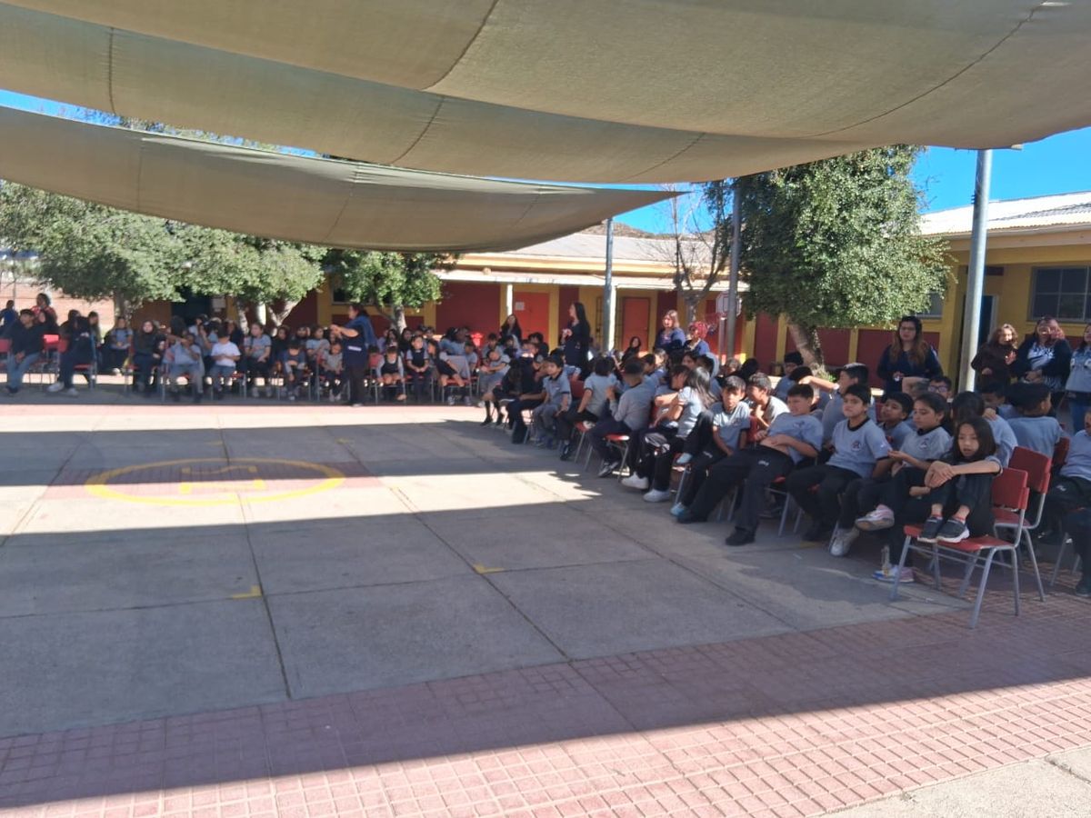 PHOTO-2026-04-28-11-37-31 3 PHOTO-2026-04-28-11-37-31 3