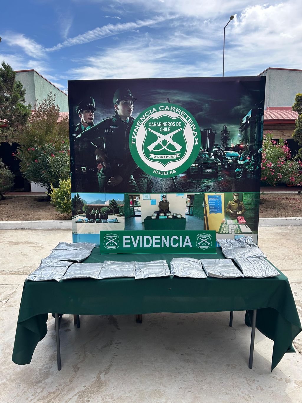 PROCEDIMIENTO NOGALES PROCEDIMIENTO NOGALES