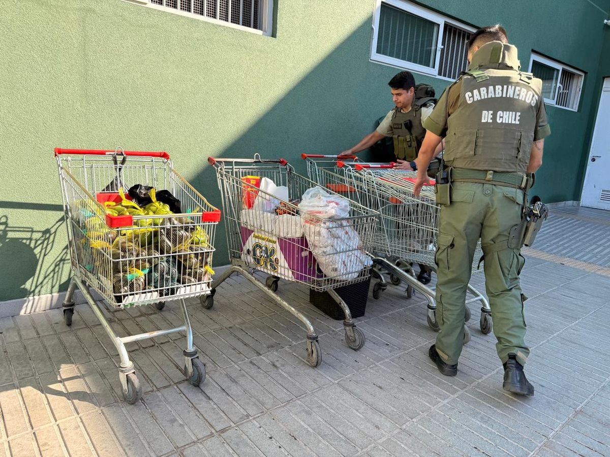 PHOTO-2026-04-06-12-47-40 PHOTO-2026-04-06-12-47-40