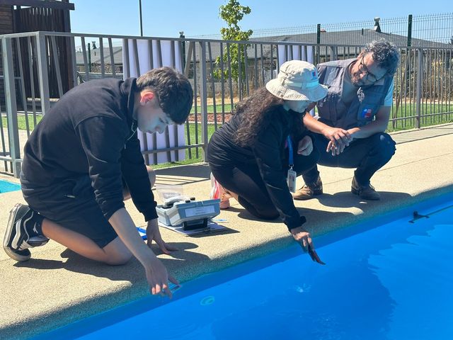 WhatsApp Image 2025-12-30 at 16 WhatsApp Image 2025-12-30 at 16