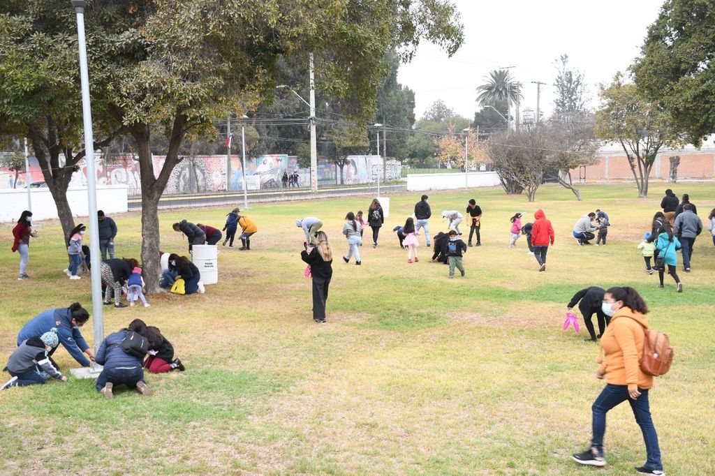 WhatsApp Image 2024-04-01 at 5 WhatsApp Image 2024-04-01 at 5