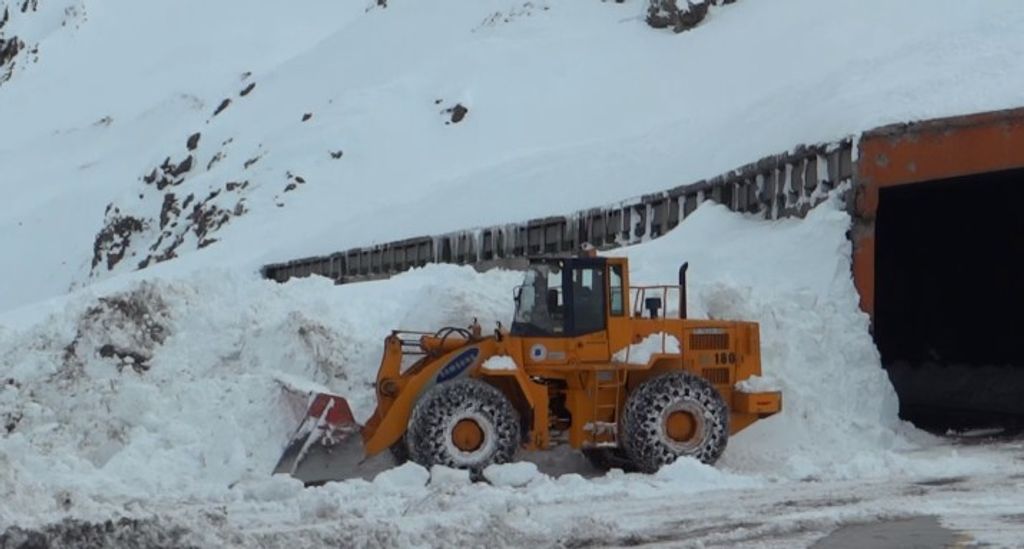 NIEVE NIEVE