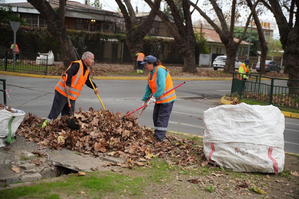 WhatsApp Image 2025-06-11 at 4 WhatsApp Image 2025-06-11 at 4