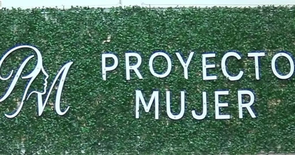 proyecto mujer