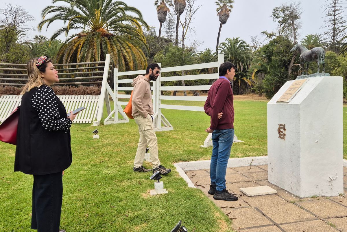 Emerger_08 Emerger_08