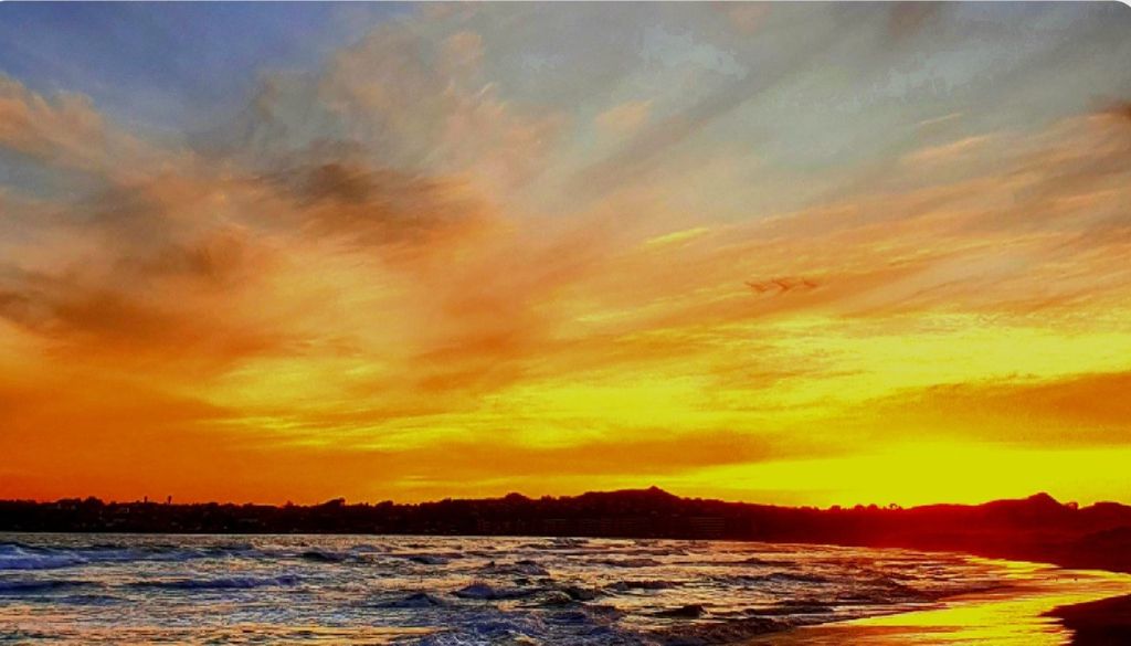 CONCURSO EL SAUCE CONCURSO EL SAUCE