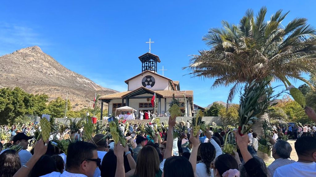 29318c6e-d356-4554-80df-80af7423838d 29318c6e-d356-4554-80df-80af7423838d