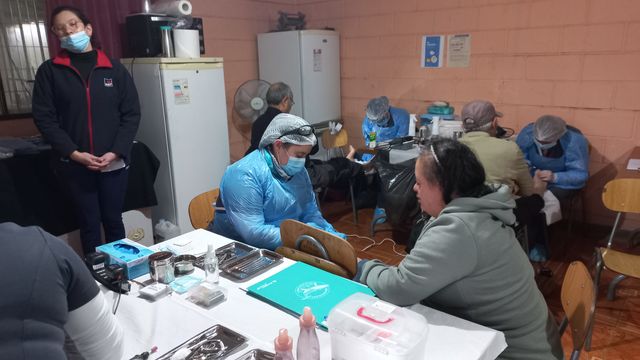 Operativo 1 Operativo 1