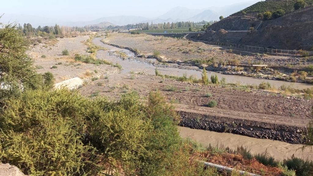 1d2b4e55-369f-463d-aca8-78f1eb0fa453-medium-standard-q100 1d2b4e55-369f-463d-aca8-78f1eb0fa453-medium-standard-q100