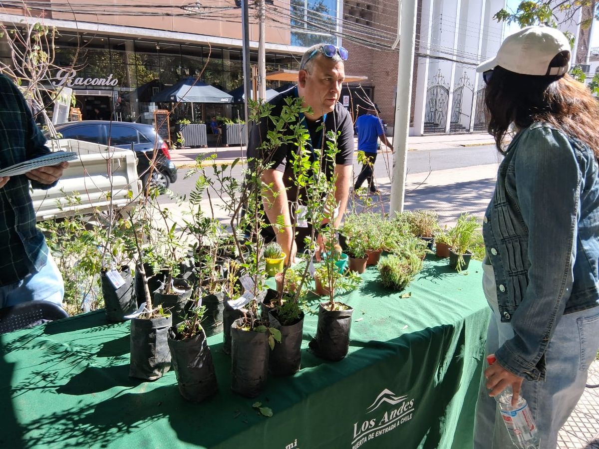 PHOTO-2026-04-15-11-13-23 2 PHOTO-2026-04-15-11-13-23 2