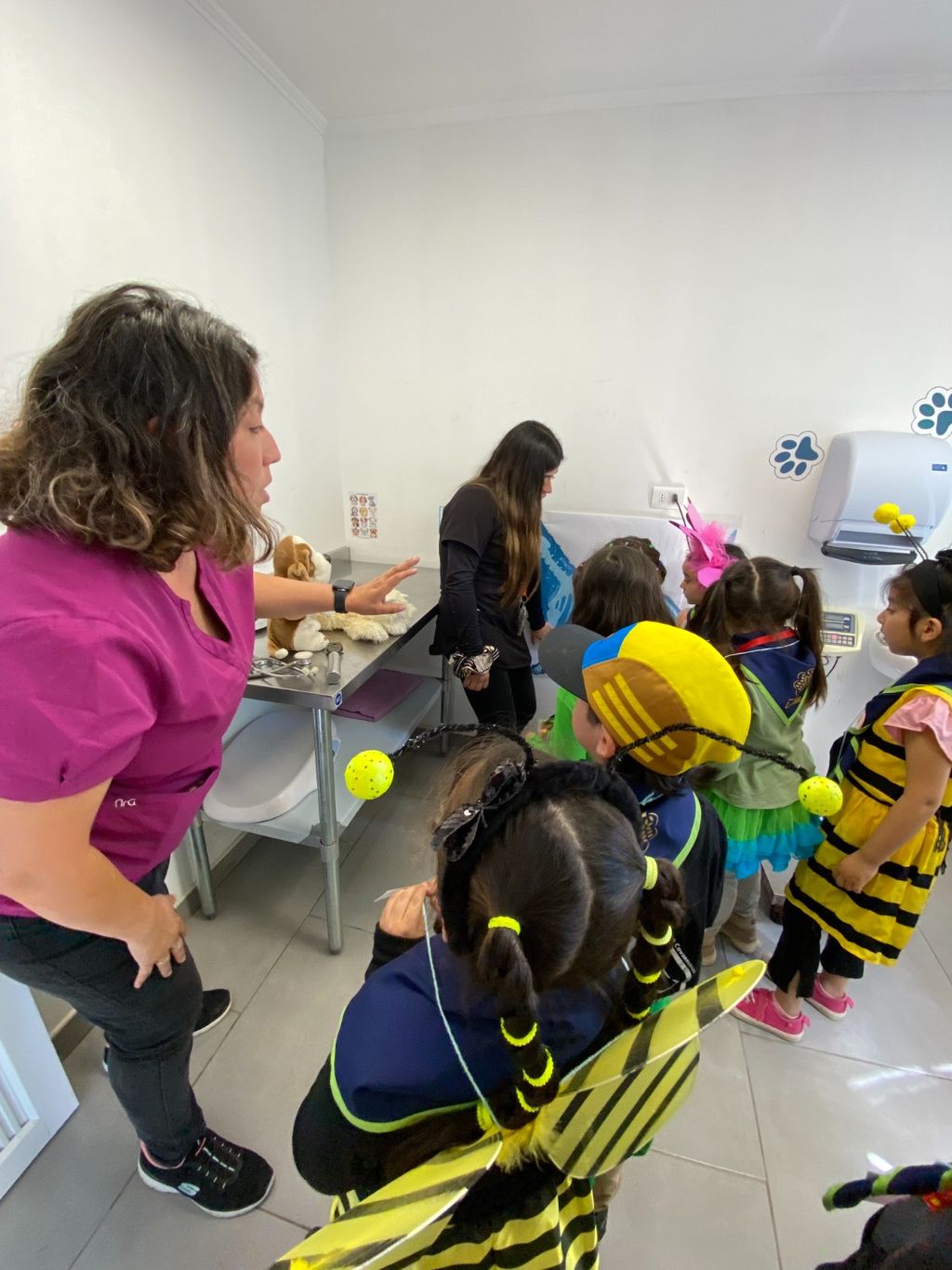 CENTRO VETERINARIO MUNICIPAL (3) CENTRO VETERINARIO MUNICIPAL (3)