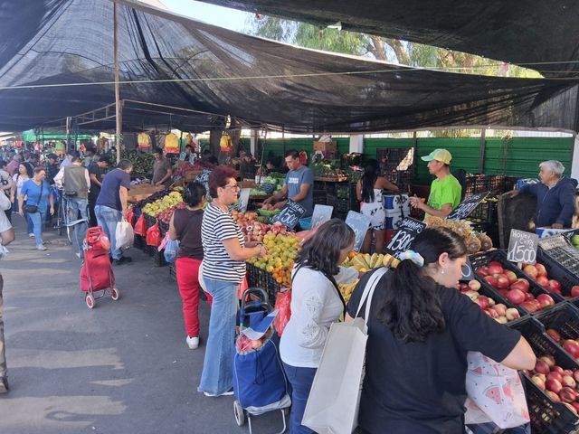 PHOTO-2026-04-08-17-47-19 PHOTO-2026-04-08-17-47-19