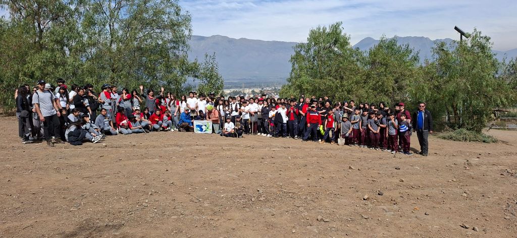 REFORESTACIÓN REFORESTACIÓN