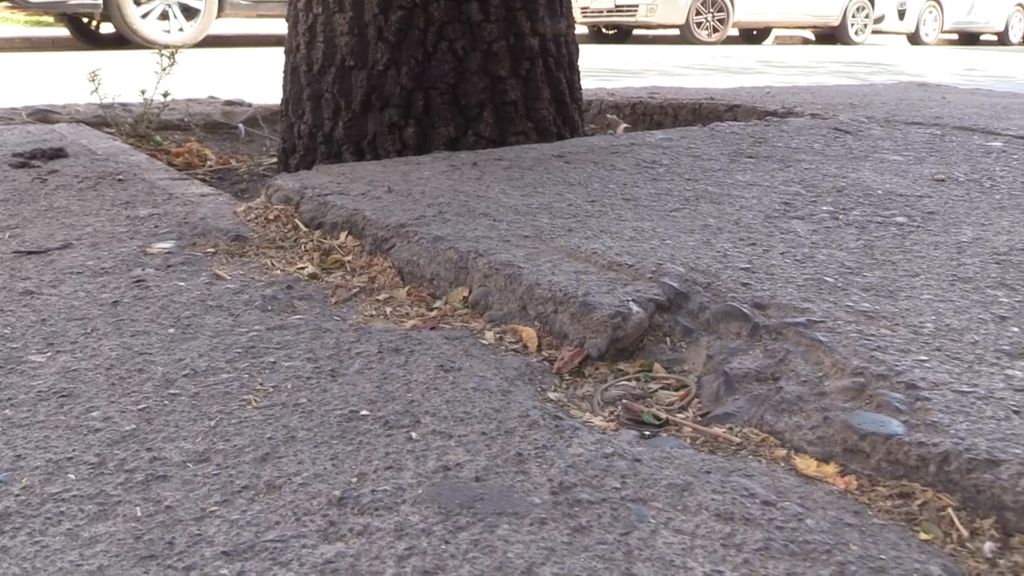 baldosas y veredas baldosas y veredas