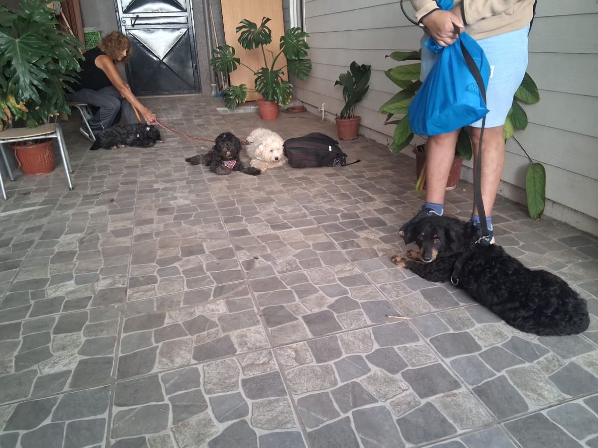 PHOTO-2026-03-10-11-15-06 2 PHOTO-2026-03-10-11-15-06 2