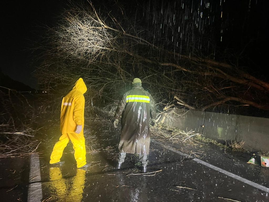 SISTEMA FRONTAL PANQUEHUE (1) SISTEMA FRONTAL PANQUEHUE (1)