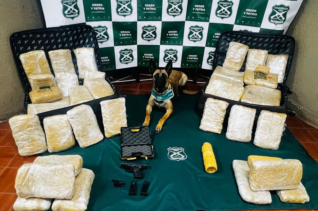 DROGA Y ARMA DROGA Y ARMA