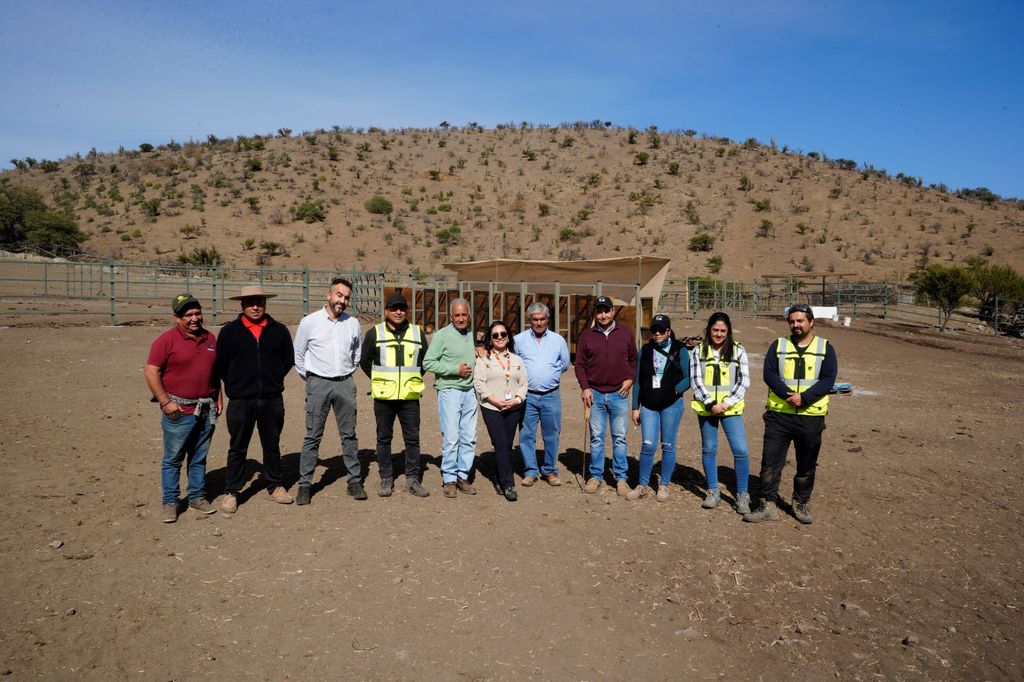 arrieros ok arrieros ok