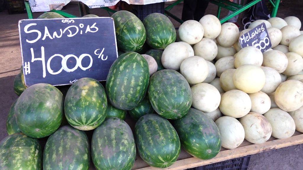 Verduras y frutas de temporada comenzaron a bajar de precio Verduras y frutas de temporada comenzaron a bajar de precio