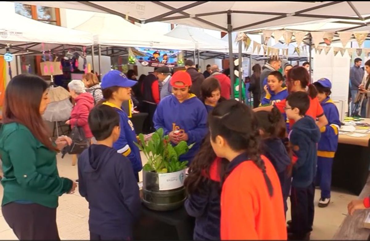 FERIA AMBIENTAL FERIA AMBIENTAL