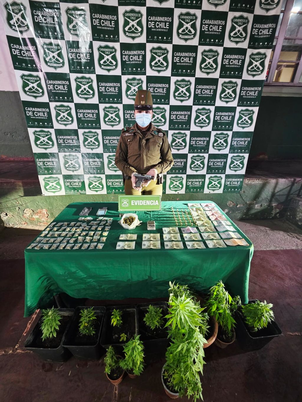 WhatsApp Image 2025-10-08 at 9 WhatsApp Image 2025-10-08 at 9