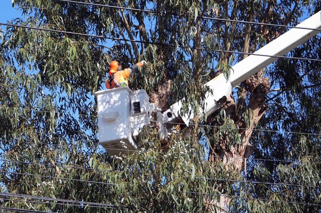 PHOTO-2026-03-26-11-20-37 PHOTO-2026-03-26-11-20-37