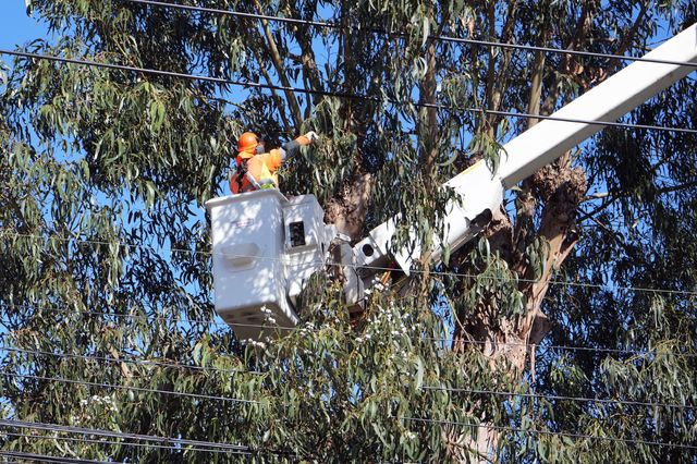 PHOTO-2026-03-26-11-20-37