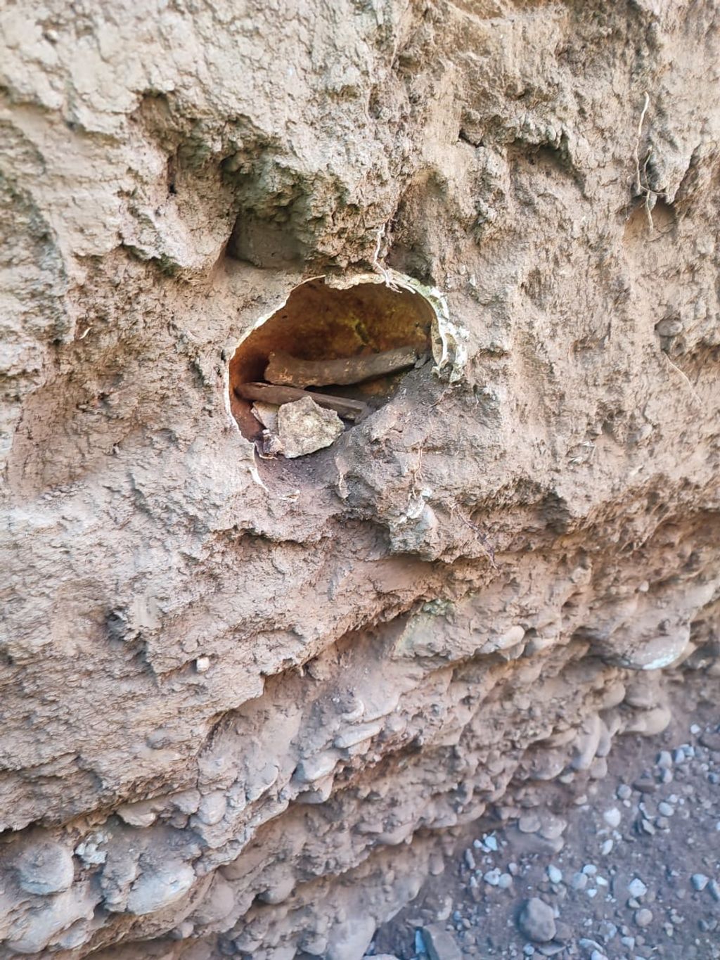 WhatsApp Image 2024-04-11 at 19 WhatsApp Image 2024-04-11 at 19