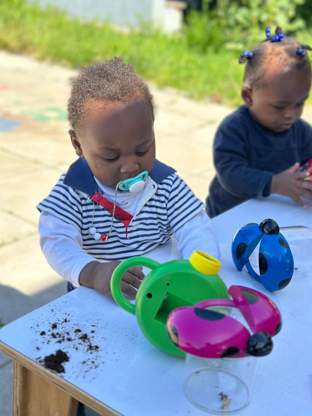 jardines de verano (2) jardines de verano (2)