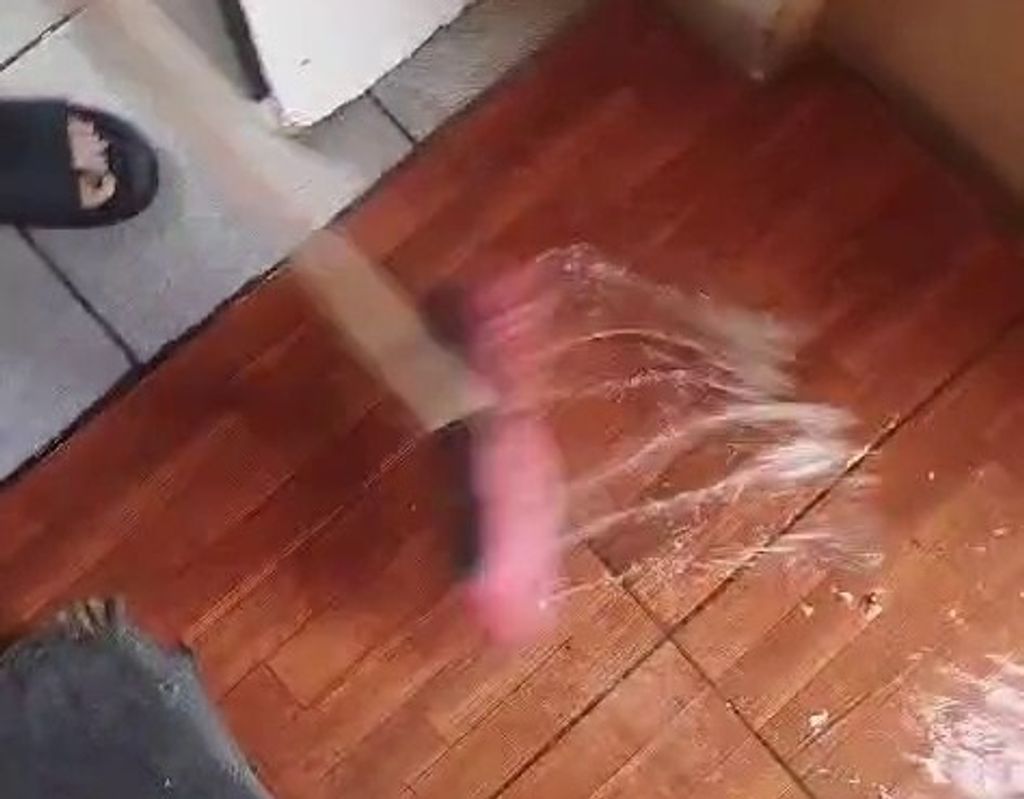 1CAÑERIAS PEUMAYEN (2) 1CAÑERIAS PEUMAYEN (2)