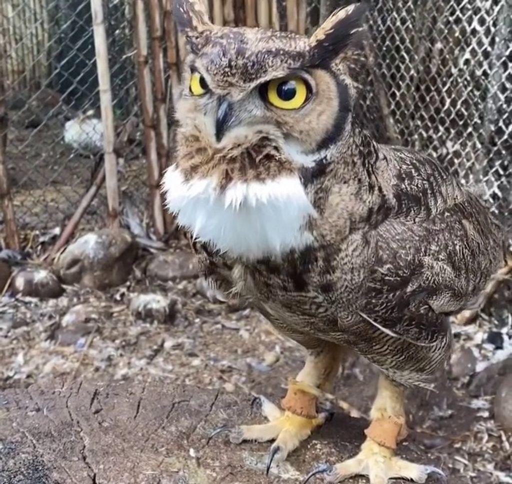 1CEREFAN (3) 1CEREFAN (3)