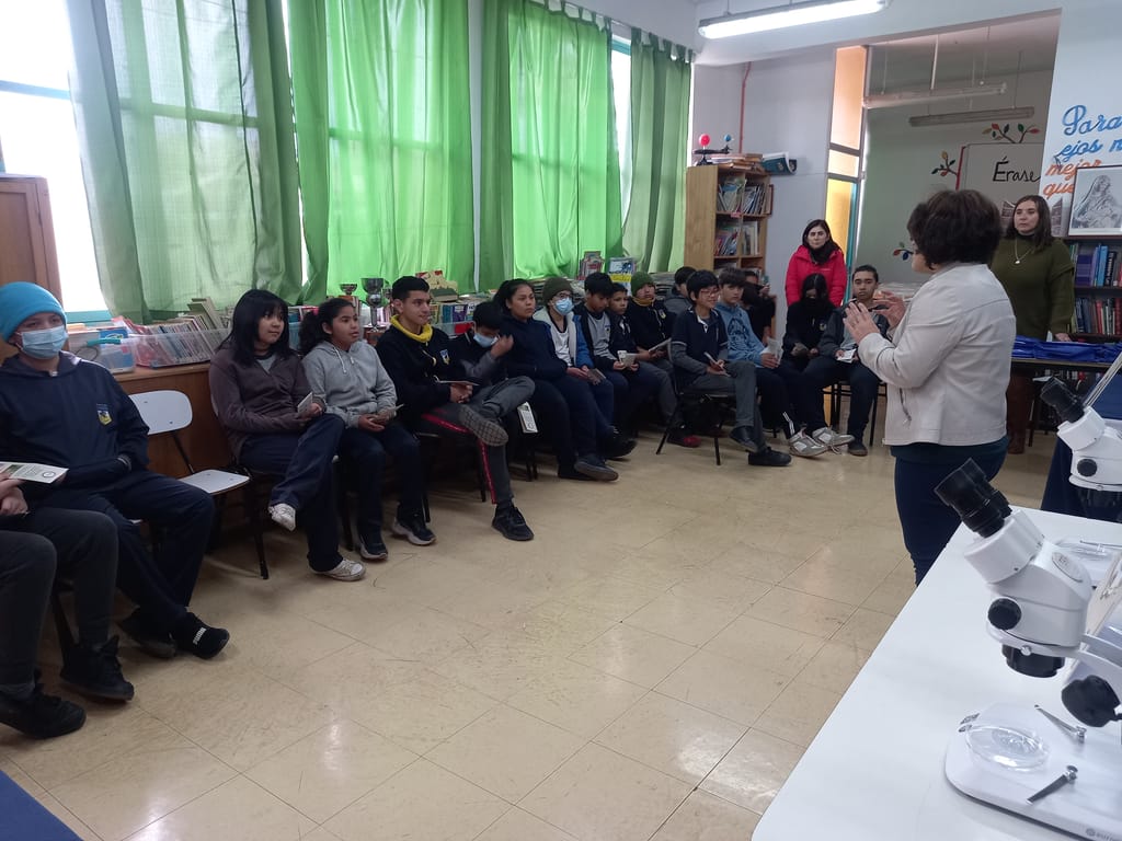 1CHARLA PROYECTO ANILLO 1CHARLA PROYECTO ANILLO