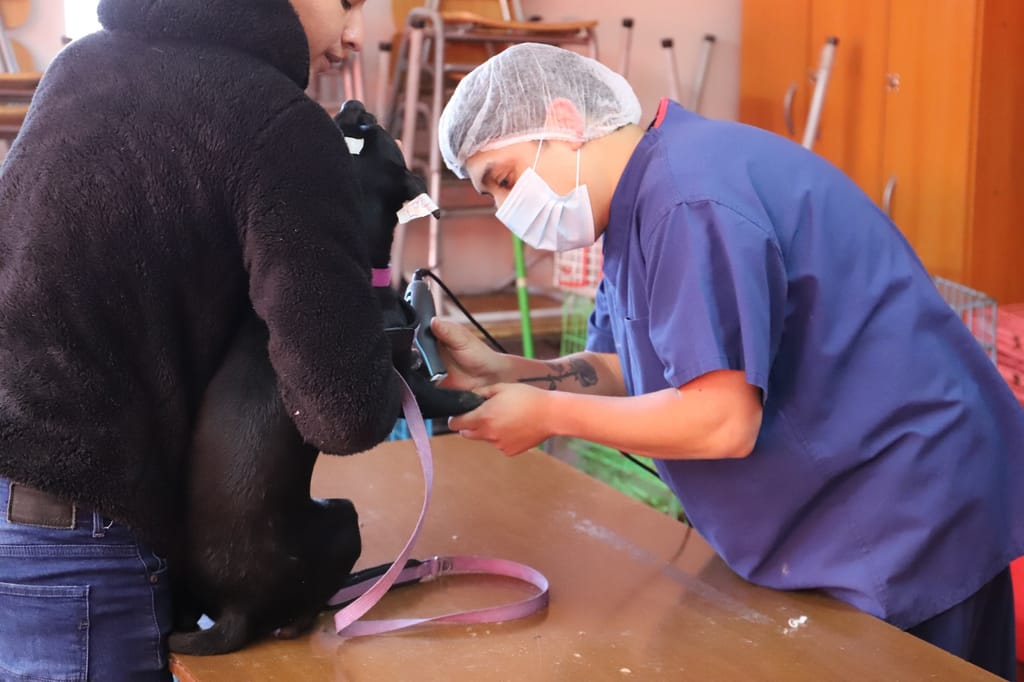 1ESTERILIZACIONES 1ESTERILIZACIONES