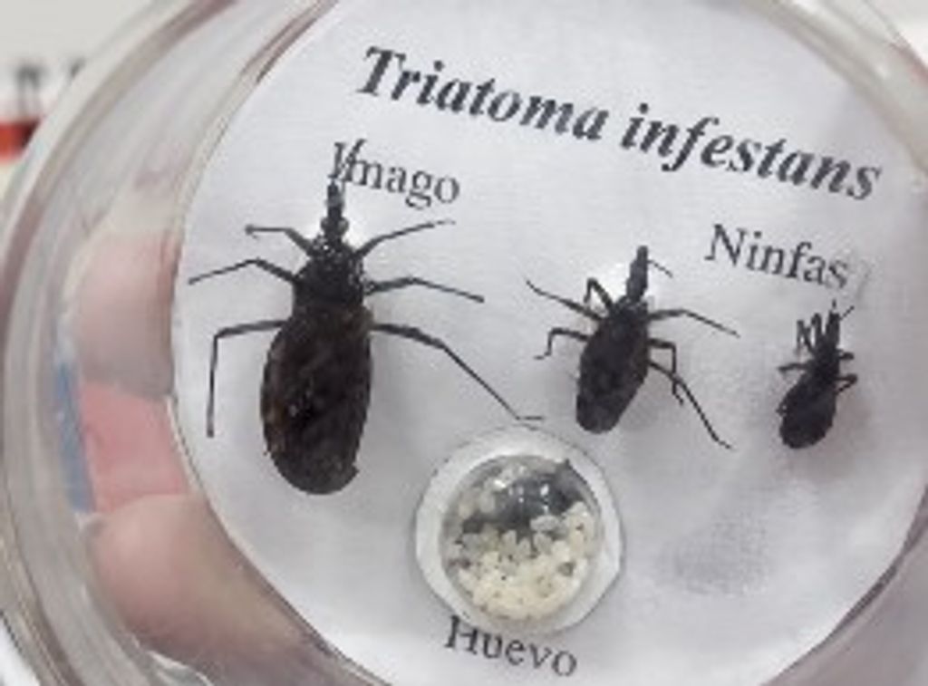 PHOTO-2026-04-14-17-57-47 PHOTO-2026-04-14-17-57-47