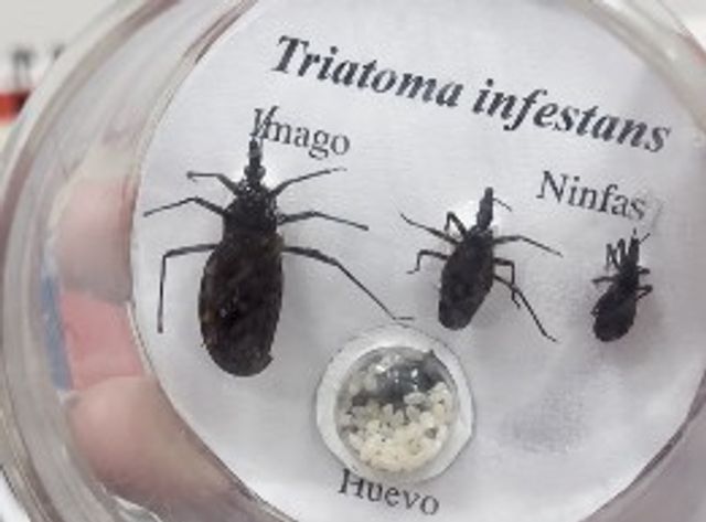 PHOTO-2026-04-14-17-57-47 PHOTO-2026-04-14-17-57-47