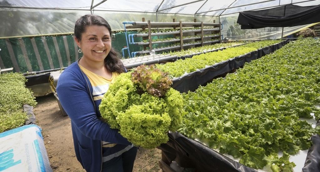 concurso-inversiones concurso-inversiones