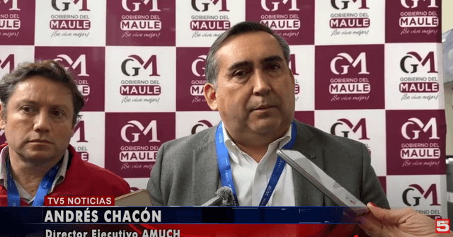 potada noticias