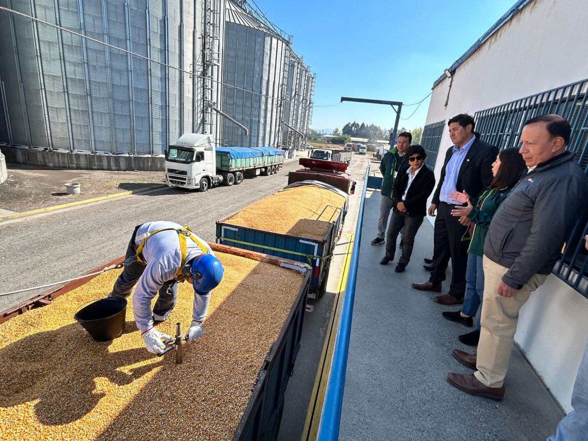 Venta de Maíz Venta de Maíz