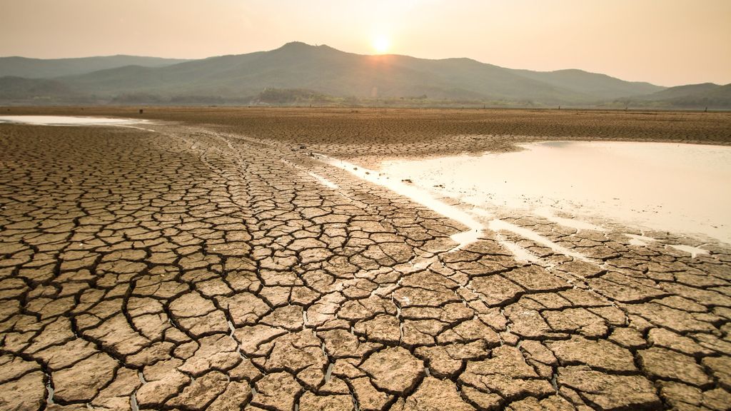Estudio revela que el calentamiento global podría provocar la extinción de los microorganismos Estudio revela que el calentamiento global podría provocar la extinción de los microorganismos