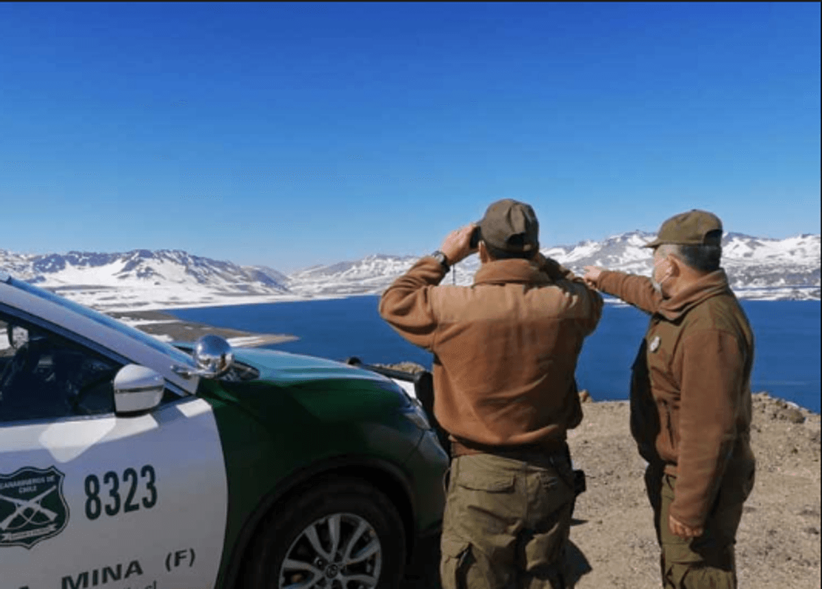 Imagen de referencia Imagen de referencia