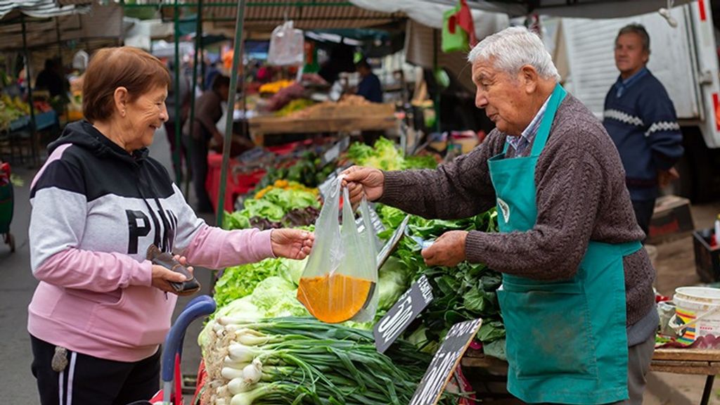 Programa de potenciamiento de ferias libres destinará más de $2 mil millones para su desarrollo Programa de potenciamiento de ferias libres destinará más de $2 mil millones para su desarrollo
