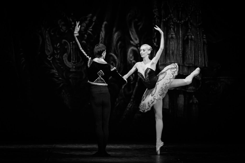 Lago de los cisnes Lago de los cisnes