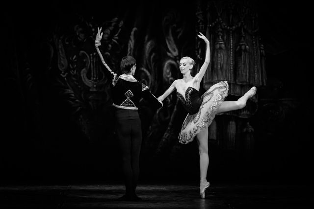 Lago de los cisnes Lago de los cisnes