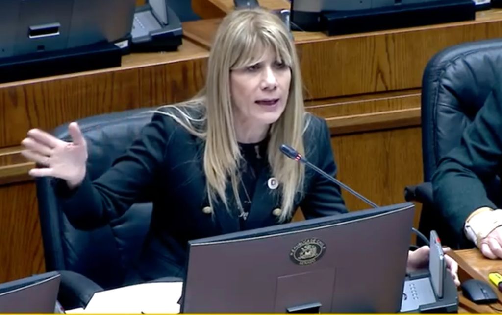 Ximena Rincón Ximena Rincón