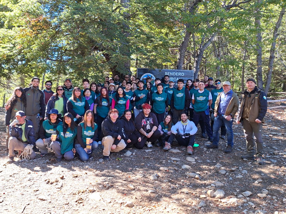 Voluntariados Voluntariados
