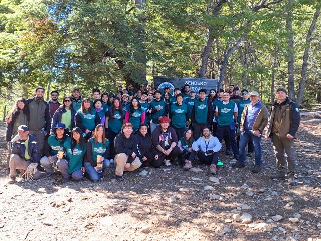 Voluntariados Voluntariados