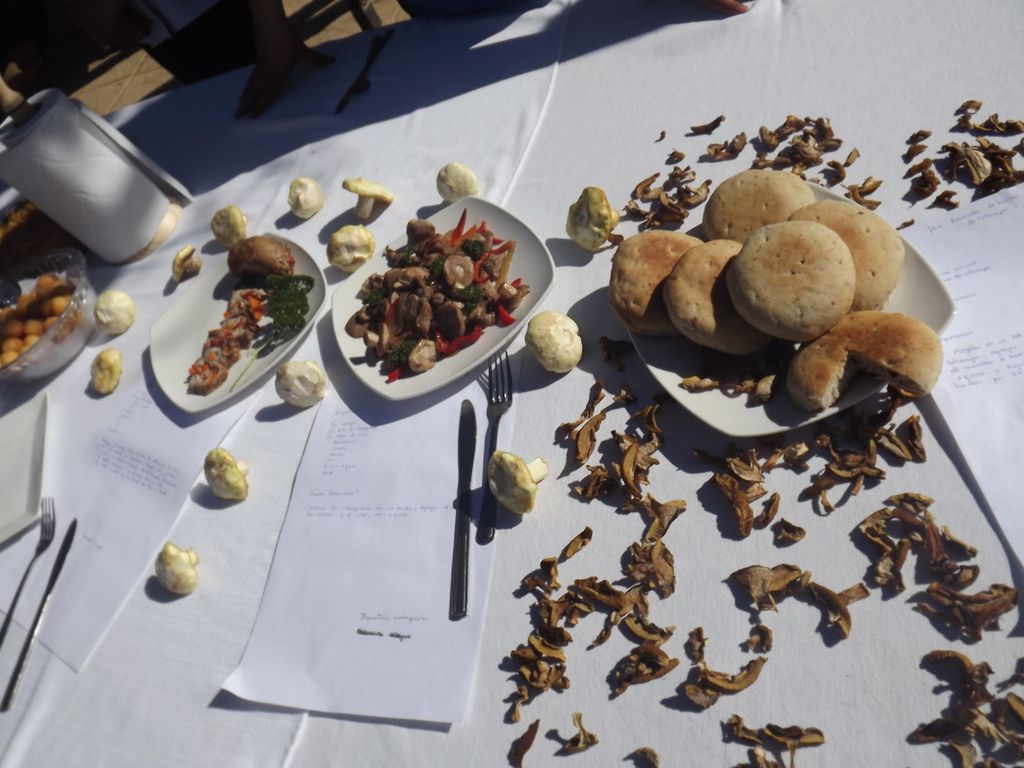 Fiesta del Hongo Fiesta del Hongo