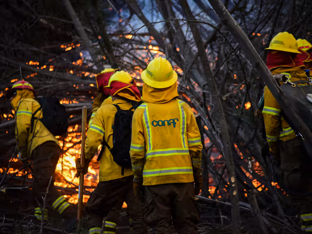 Brigadistas Brigadistas
